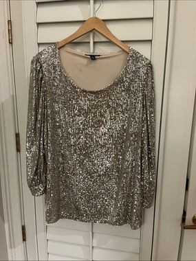 Cable & Gauge Silver Sequin Scoop Neck Blouse 3X